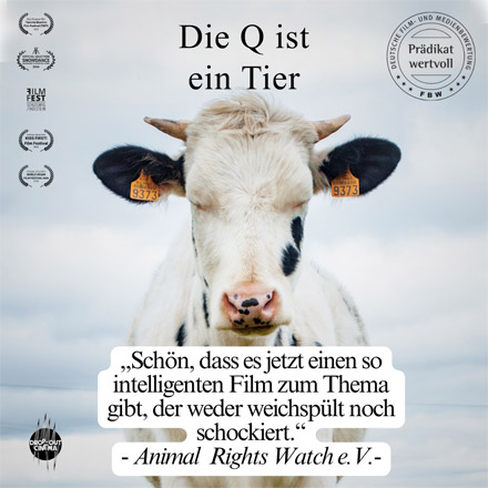 Hilal Tiere wollen leben