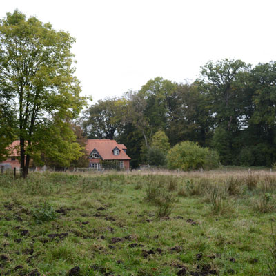 Hilal Sezgin Lüneburger Heide